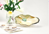 Pottery Oyster Shell Bowl