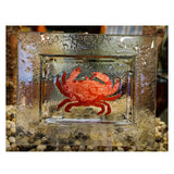 Copper and Glass Sealife Tray